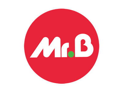 logo_mr_bricolage